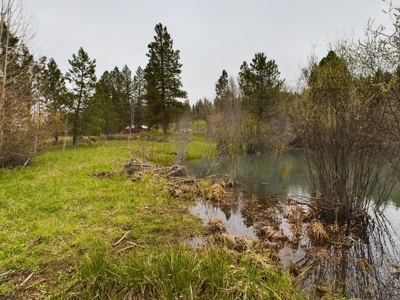 Cabin with Ponds & Creek on 38 Acres for Sale in Council ID - image 8