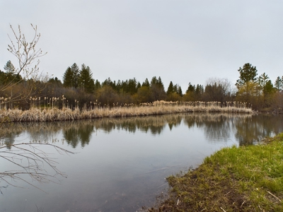 Cabin with Ponds & Creek on 38 Acres for Sale in Council ID - image 5