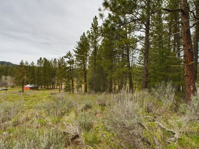 Cabin with Ponds & Creek on 38 Acres for Sale in Council ID - image 39