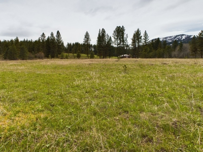 Cabin with Ponds & Creek on 38 Acres for Sale in Council ID - image 28