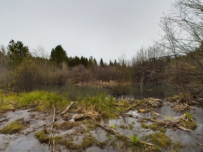 Cabin with Ponds & Creek on 38 Acres for Sale in Council ID - image 7