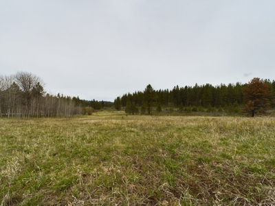 Cabin with Ponds & Creek on 38 Acres for Sale in Council ID - image 4