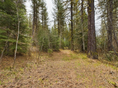 Cabin with Ponds & Creek on 38 Acres for Sale in Council ID - image 12