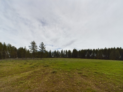 Cabin with Ponds & Creek on 38 Acres for Sale in Council ID - image 17
