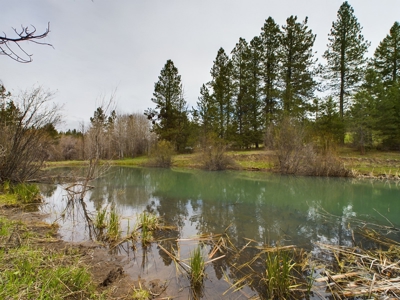 Cabin with Ponds & Creek on 38 Acres for Sale in Council ID - image 10