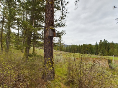 Cabin with Ponds & Creek on 38 Acres for Sale in Council ID - image 40