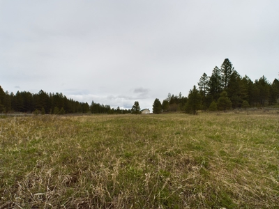 Cabin with Ponds & Creek on 38 Acres for Sale in Council ID - image 3
