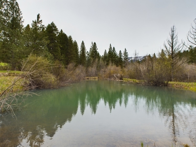 Cabin with Ponds & Creek on 38 Acres for Sale in Council ID - image 9