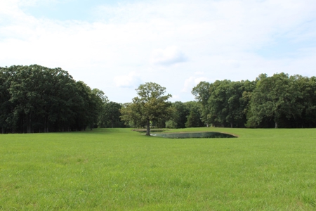 Home On 49 Acres With Marketable Timber & Fenced For Cattle - image 40