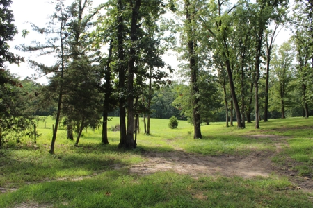 Home On 49 Acres With Marketable Timber & Fenced For Cattle - image 47