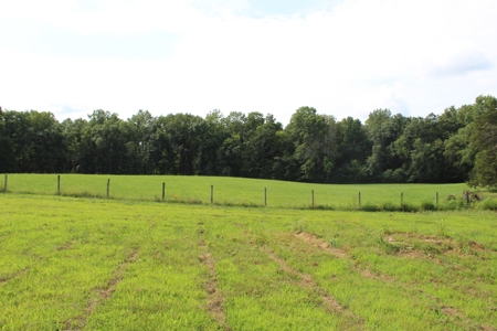 Home On 49 Acres With Marketable Timber & Fenced For Cattle - image 45