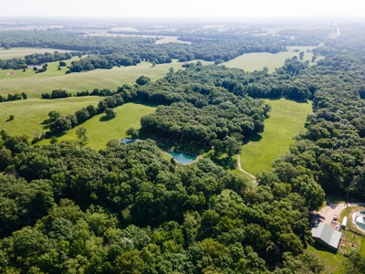 Home On 49 Acres With Marketable Timber & Fenced For Cattle - image 33