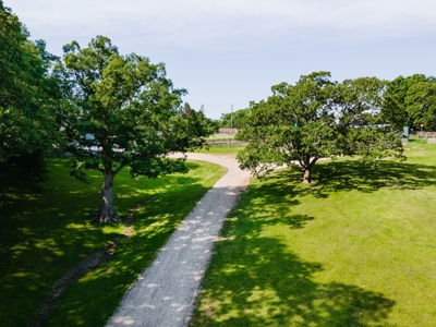 Home On 49 Acres With Marketable Timber & Fenced For Cattle - image 32