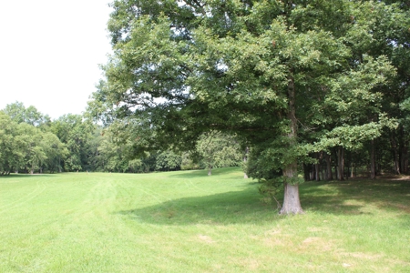 Home On 49 Acres With Marketable Timber & Fenced For Cattle - image 50