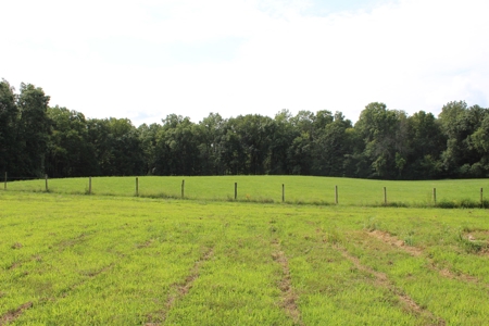 Home On 49 Acres With Marketable Timber & Fenced For Cattle - image 46