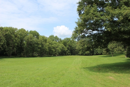 Home On 49 Acres With Marketable Timber & Fenced For Cattle - image 49