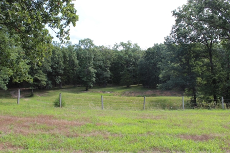 Home On 49 Acres With Marketable Timber & Fenced For Cattle - image 44