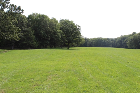 Home On 49 Acres With Marketable Timber & Fenced For Cattle - image 38