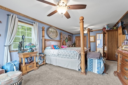 Home On 49 Acres With Marketable Timber & Fenced For Cattle - image 7