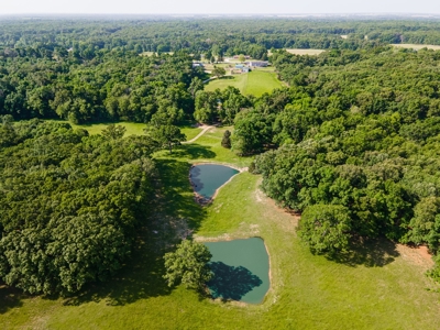 Home On 49 Acres With Marketable Timber & Fenced For Cattle - image 35