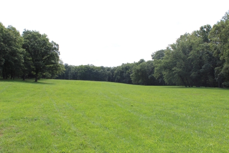 Home On 49 Acres With Marketable Timber & Fenced For Cattle - image 37