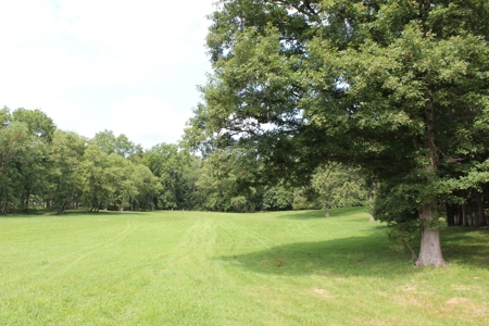 Home On 49 Acres With Marketable Timber & Fenced For Cattle - image 48