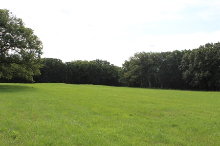 Home On 49 Acres With Marketable Timber & Fenced For Cattle - image 41