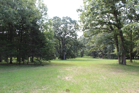 Home On 49 Acres With Marketable Timber & Fenced For Cattle - image 42