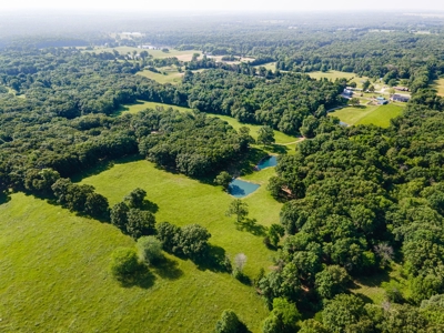 Home On 49 Acres With Marketable Timber & Fenced For Cattle - image 34
