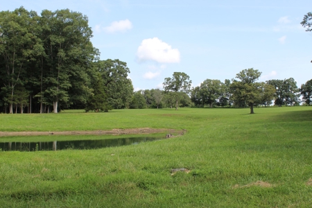 Home On 49 Acres With Marketable Timber & Fenced For Cattle - image 39