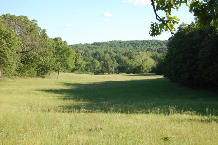 Nice property for sale in just 15 miles from Mountain Grove - image 15