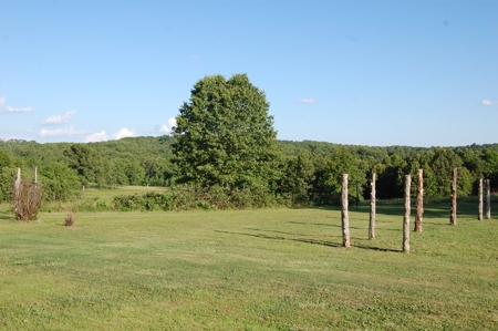 Nice property for sale in just 15 miles from Mountain Grove - image 23