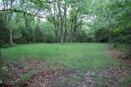 Nice property for sale in just 15 miles from Mountain Grove - image 6