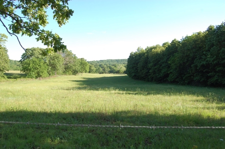 Nice property for sale in just 15 miles from Mountain Grove - image 16