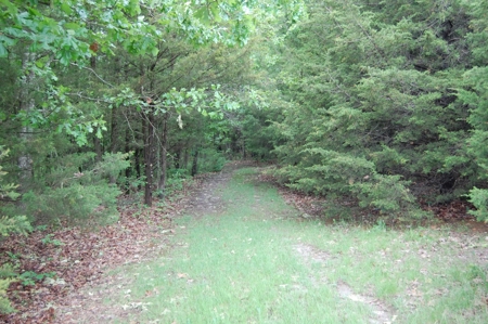 Nice property for sale in just 15 miles from Mountain Grove - image 5