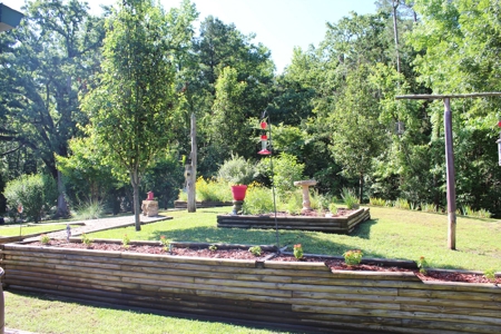 Winnsboro Wood County Texas Pristine Hideaway On 10 Acres - image 33
