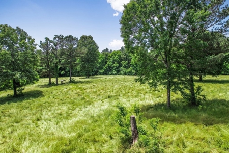 414 Acres Hunting Land For Sale in Franklin County with Camp - image 5