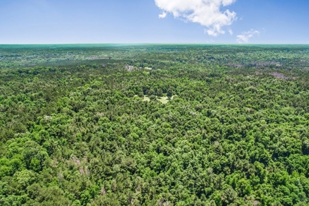 414 Acres Hunting Land For Sale in Franklin County with Camp - image 3