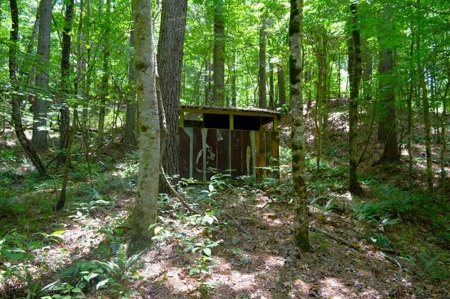 414 Acres Hunting Land For Sale in Franklin County with Camp - image 28