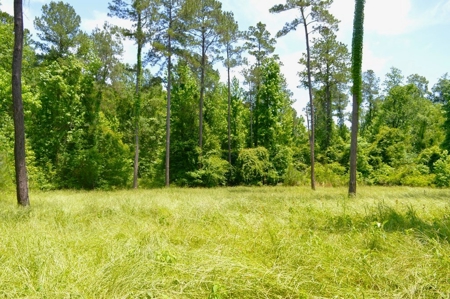 414 Acres Hunting Land For Sale in Franklin County with Camp - image 24
