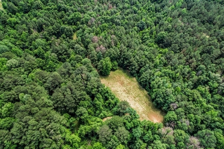 414 Acres Hunting Land For Sale in Franklin County with Camp - image 8