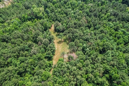 414 Acres Hunting Land For Sale in Franklin County with Camp - image 7