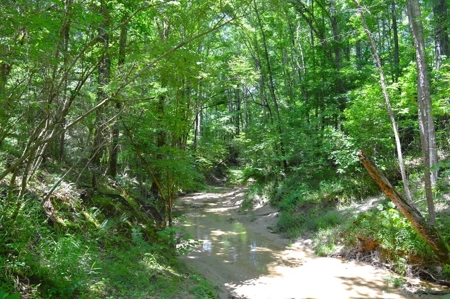 414 Acres Hunting Land For Sale in Franklin County with Camp - image 25