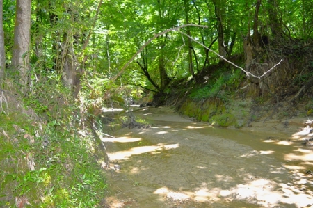 414 Acres Hunting Land For Sale in Franklin County with Camp - image 22
