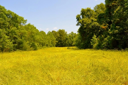 414 Acres Hunting Land For Sale in Franklin County with Camp - image 39