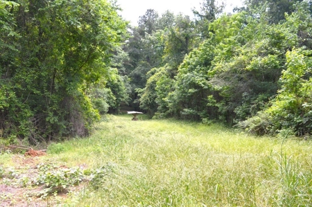 414 Acres Hunting Land For Sale in Franklin County with Camp - image 44