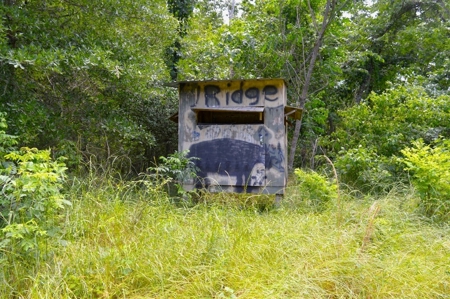 414 Acres Hunting Land For Sale in Franklin County with Camp - image 42