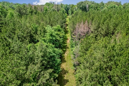 414 Acres Hunting Land For Sale in Franklin County with Camp - image 9