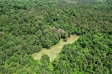 414 Acres Hunting Land For Sale in Franklin County with Camp - image 13