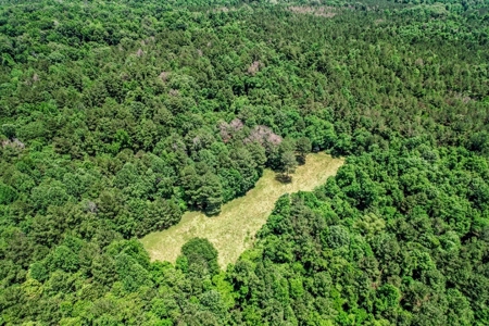 414 Acres Hunting Land For Sale in Franklin County with Camp - image 2